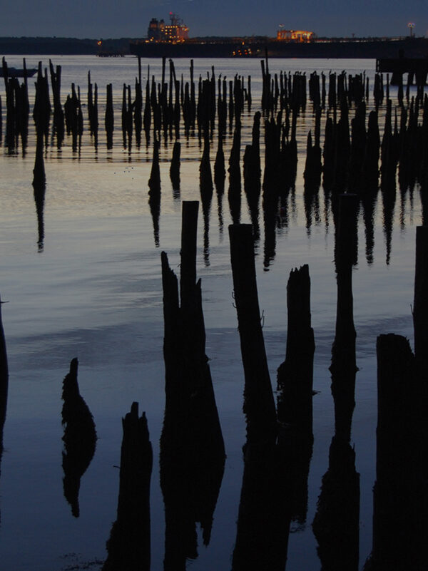 Old wharf pilings in Portland Maine at dawn