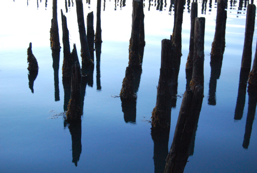 Old wharf pilings in Portland Maine at dawn