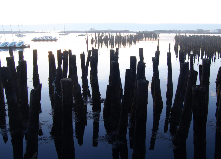 Old wharf pilings in Portland Maine at dawn