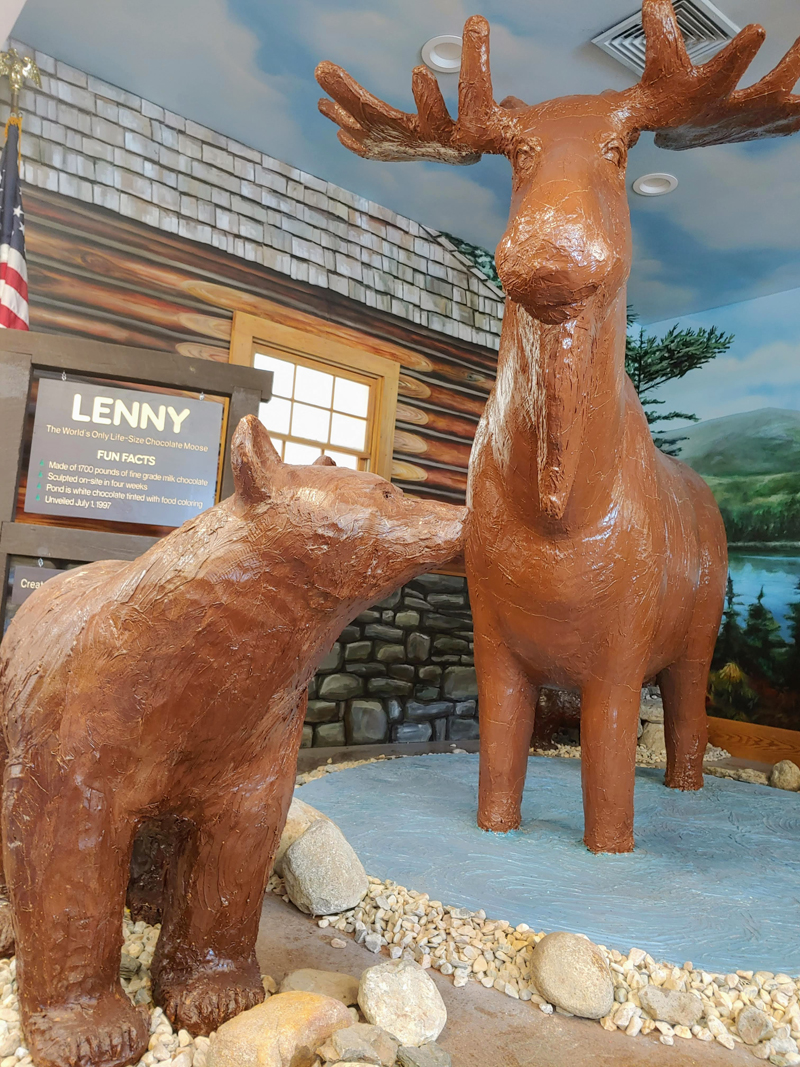 Lenny the chocolate moose at Len Libby