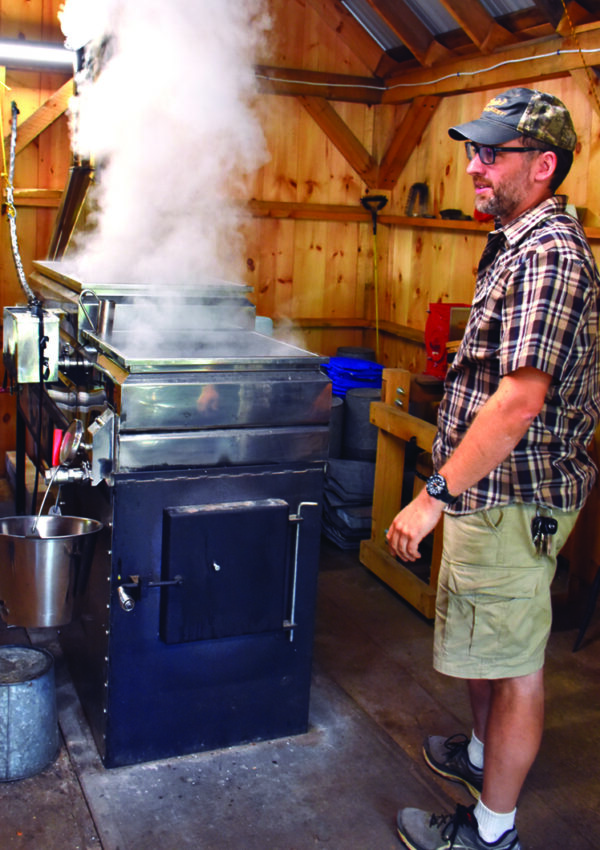 maple syrup being processed